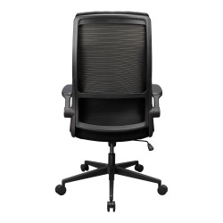 Silla Stryder